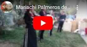 Mariachi Palmeros de Colima - playing at birthday event in the backyard of a home.