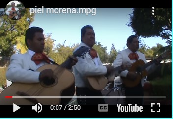 "Piel Morena" sung by Trio Los Munecos