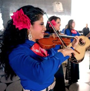 Violinist