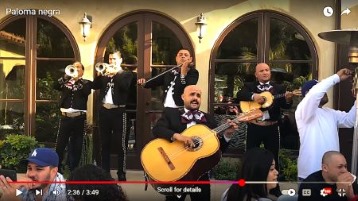 Mariachi Voz Jalisciense performing "Paloma Negra"